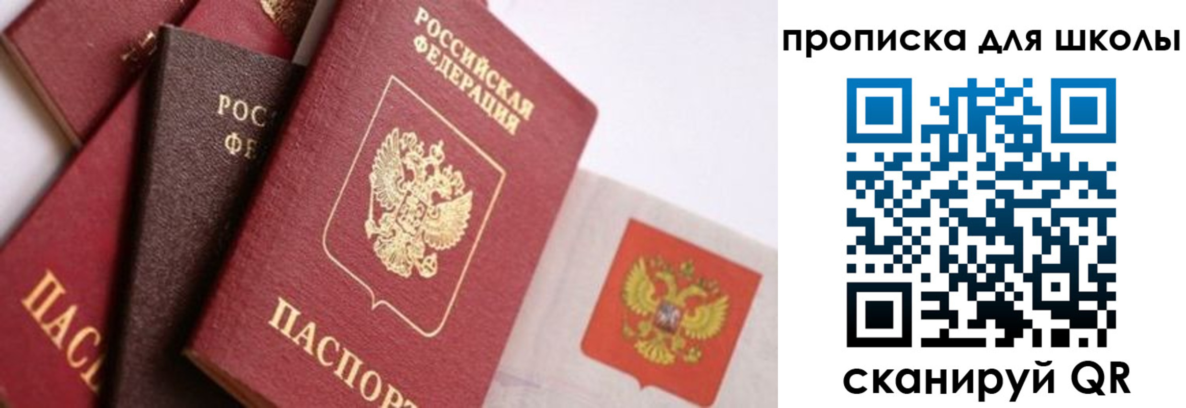 прописка поиск в Ногинске